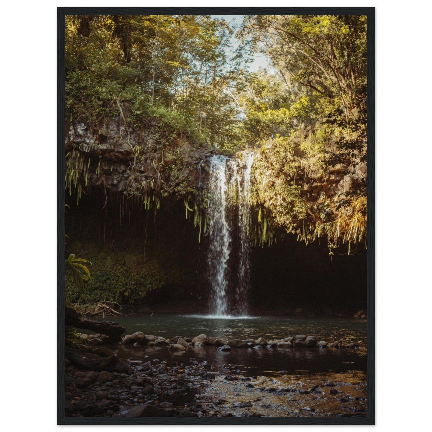 fd625909-3c70-4c26-abe8-39c78ad410f2