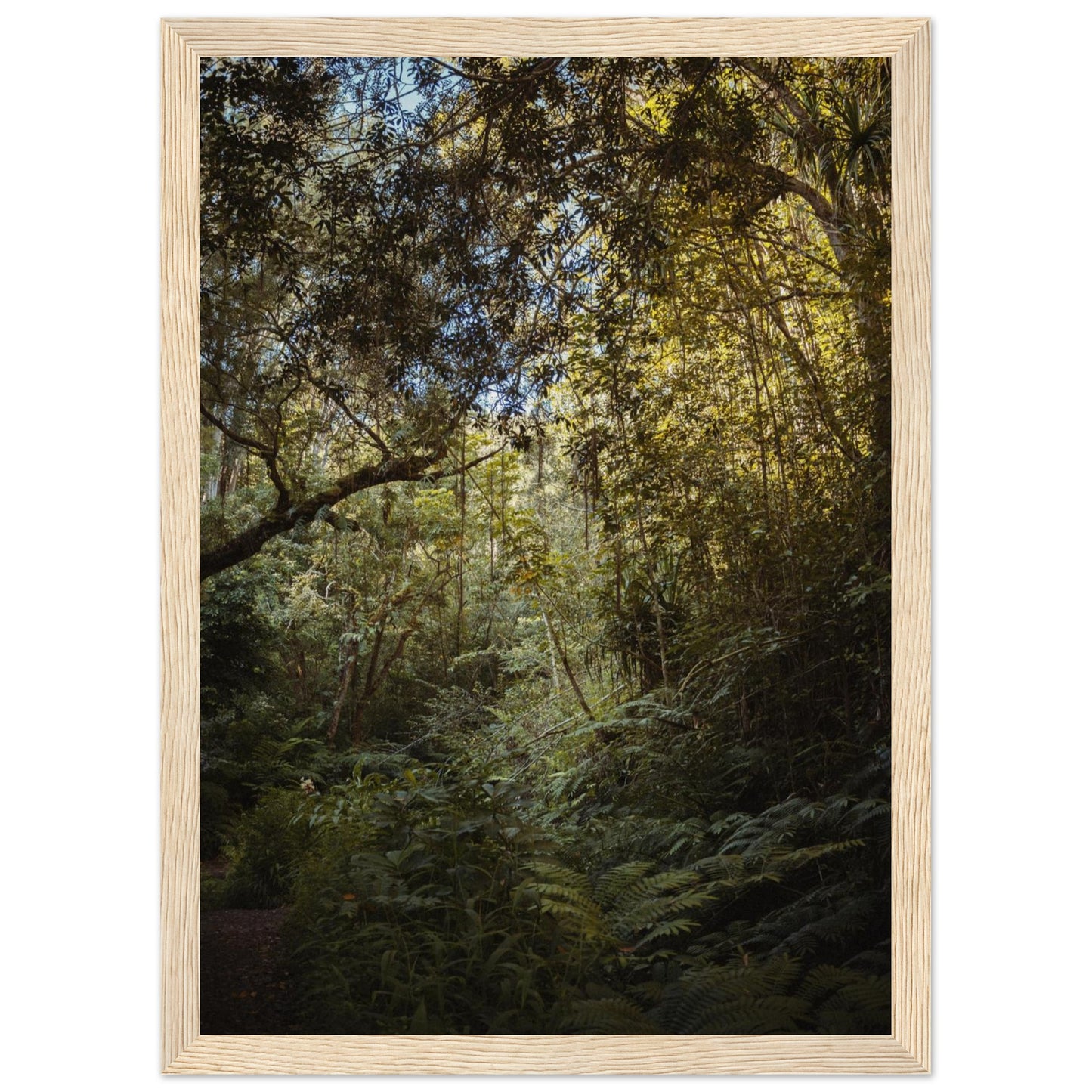 fde6fac3-c762-4563-ac34-3db33a428ddc