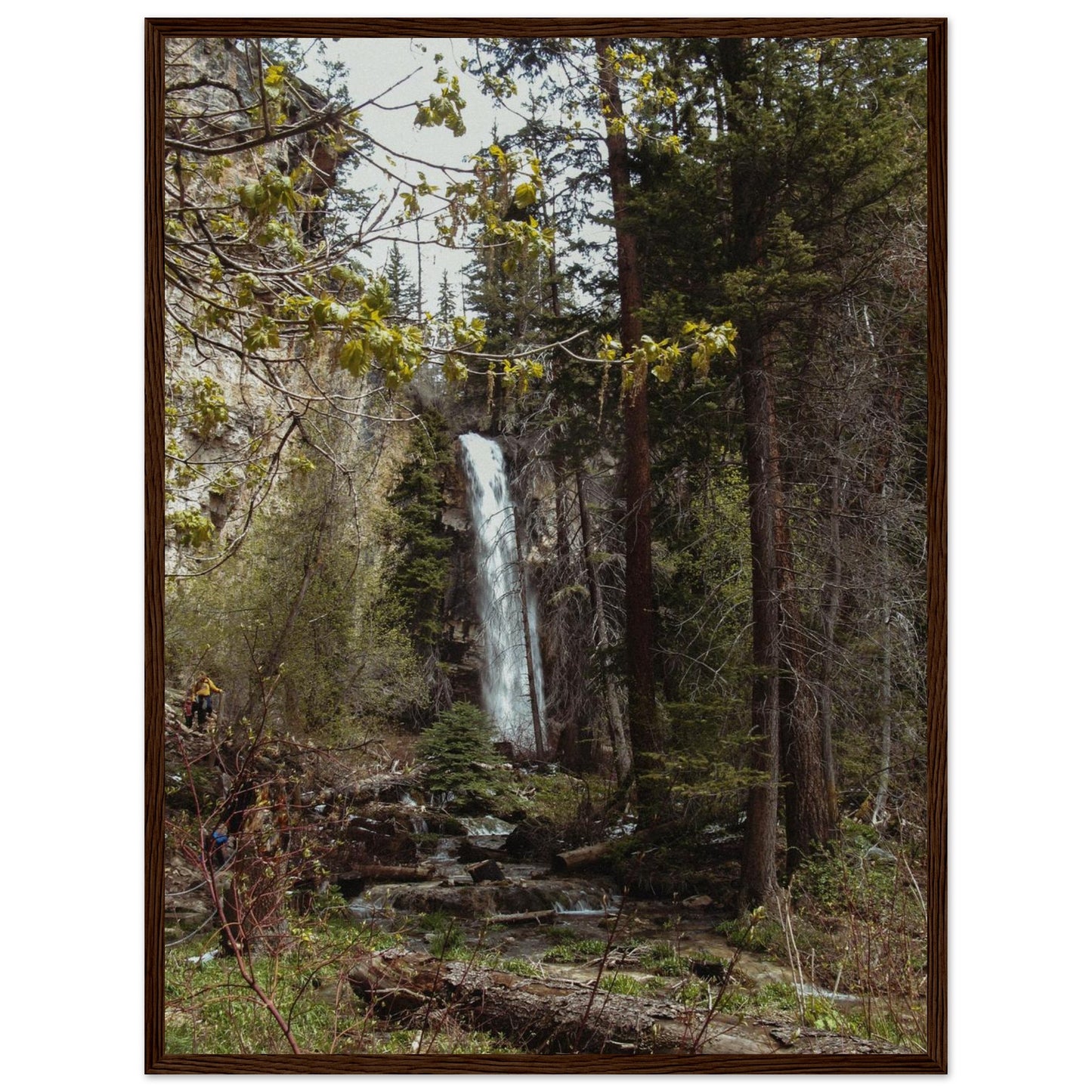 ffcdfa16-9160-4ba7-93d0-300fbefa2d06